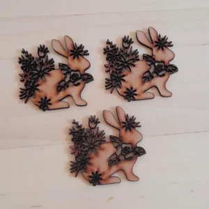 Set Aplicaciones Conejo